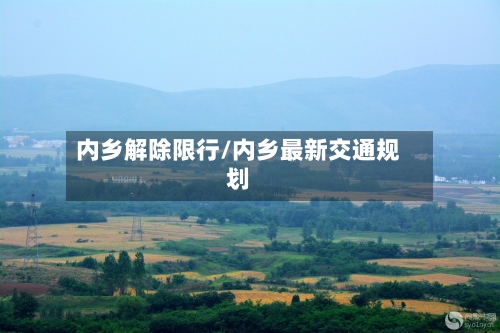 内乡解除限行/内乡最新交通规划-第2张图片