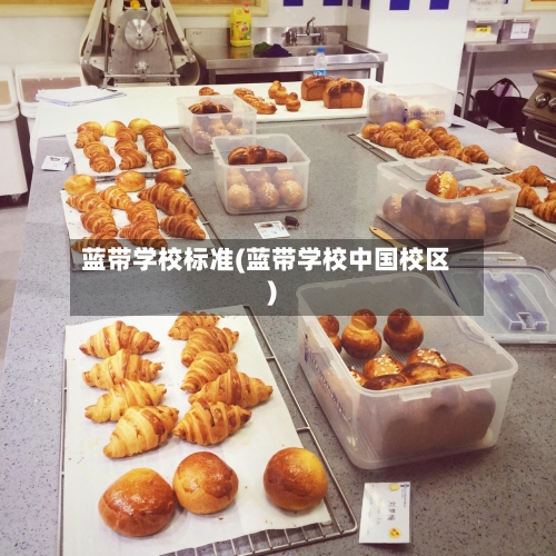 蓝带学校标准(蓝带学校中国校区)-第3张图片