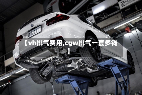 【vh排气费用,cgw排气一套多钱】