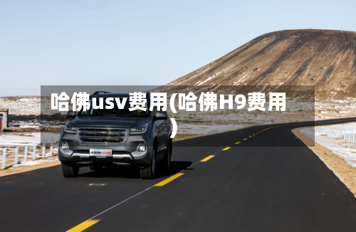 哈佛usv费用(哈佛H9费用)-第2张图片