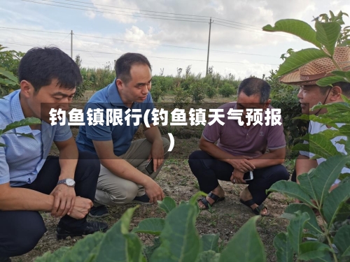 钓鱼镇限行(钓鱼镇天气预报)-第3张图片
