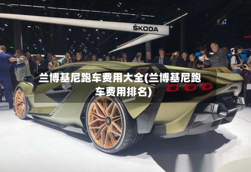 兰博基尼跑车费用大全(兰博基尼跑车费用排名)-第2张图片