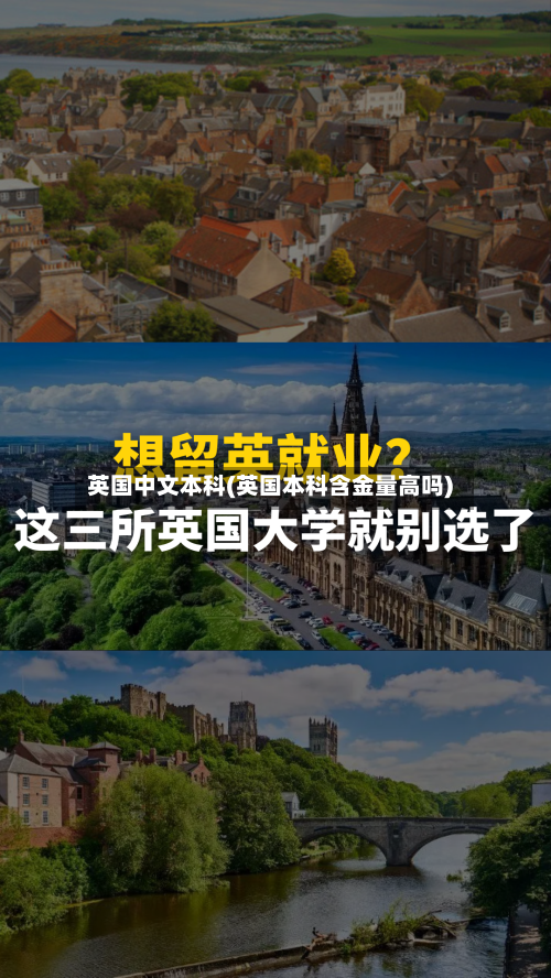 英国中文本科(英国本科含金量高吗)