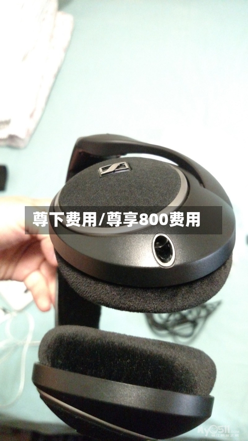 尊下费用/尊享800费用-第2张图片