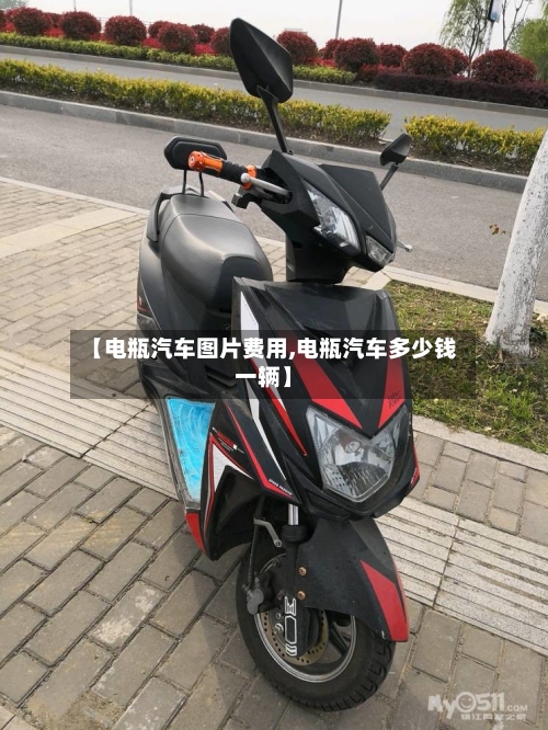 【电瓶汽车图片费用,电瓶汽车多少钱一辆】