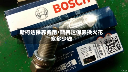 斯柯达保养费用/斯柯达保养换火花塞多少钱