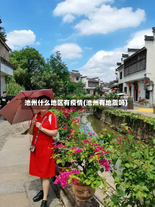 池州什么地区有疫情(池州有地震吗)-第2张图片