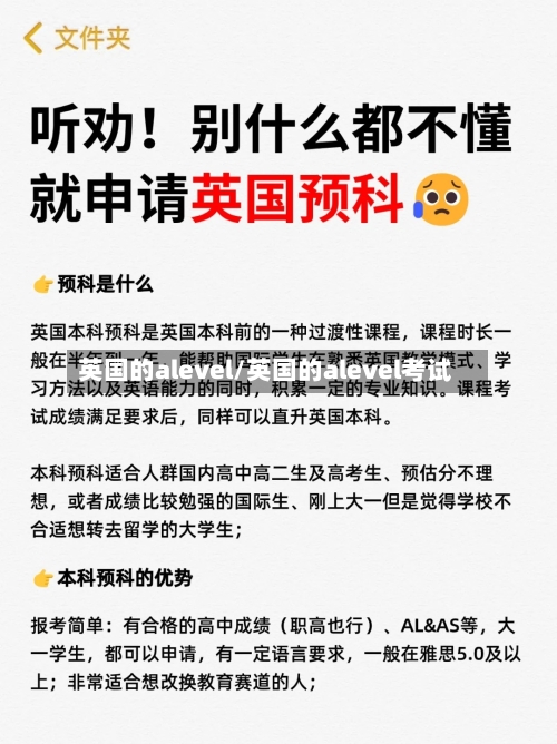 英国的alevel/英国的alevel考试