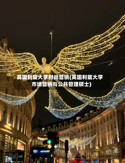英国利兹大学时尚营销(英国利兹大学市场营销与公共管理硕士)