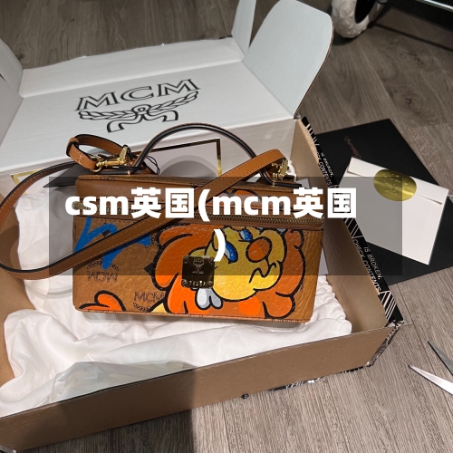 csm英国(mcm英国)-第3张图片