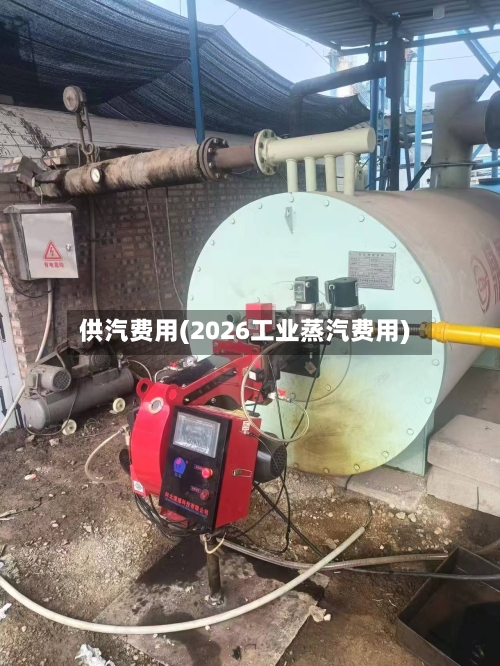 供汽费用(2026工业蒸汽费用)-第3张图片