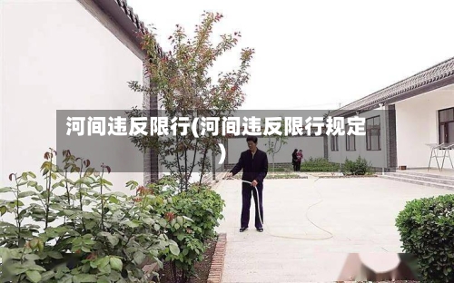 河间违反限行(河间违反限行规定)
