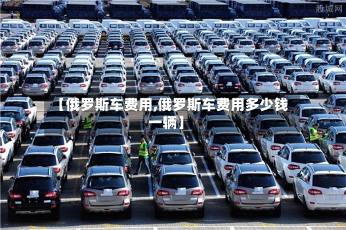 【俄罗斯车费用,俄罗斯车费用多少钱一辆】-第3张图片