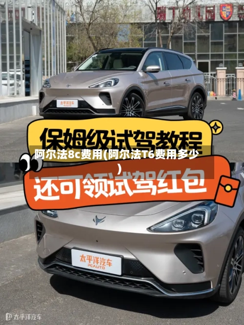 阿尔法8c费用(阿尔法T6费用多少)-第3张图片