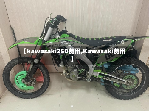 【kawasaki250费用,Kawasaki费用】