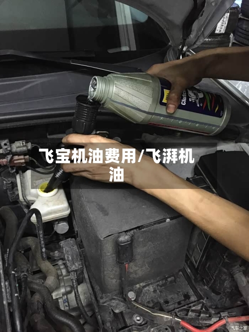 飞宝机油费用/飞湃机油