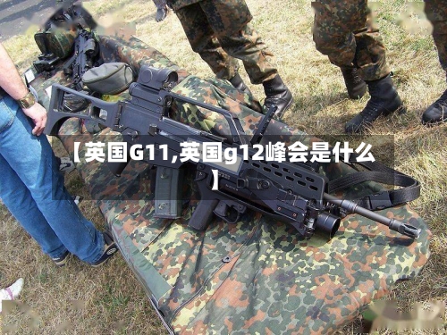 【英国G11,英国g12峰会是什么】