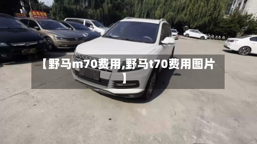 【野马m70费用,野马t70费用图片】-第2张图片