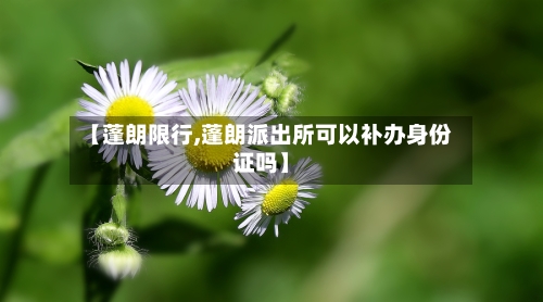 【蓬朗限行,蓬朗派出所可以补办身份证吗】