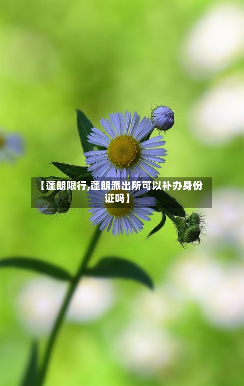 【蓬朗限行,蓬朗派出所可以补办身份证吗】-第2张图片