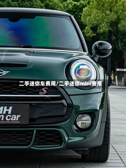 二手迷你车费用/二手迷你mini费用-第2张图片