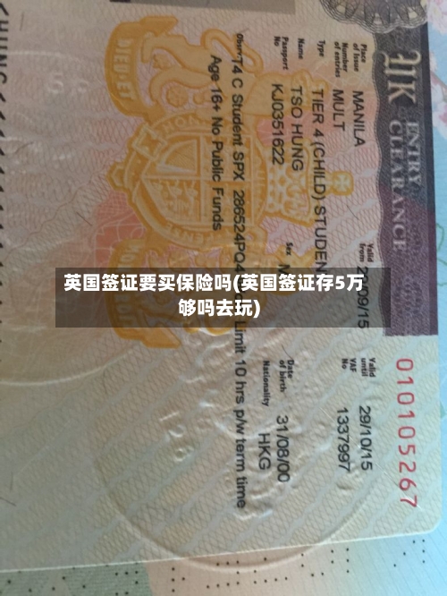 英国签证要买保险吗(英国签证存5万够吗去玩)-第2张图片