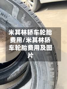 米其林轿车轮胎费用/米其林轿车轮胎费用及图片