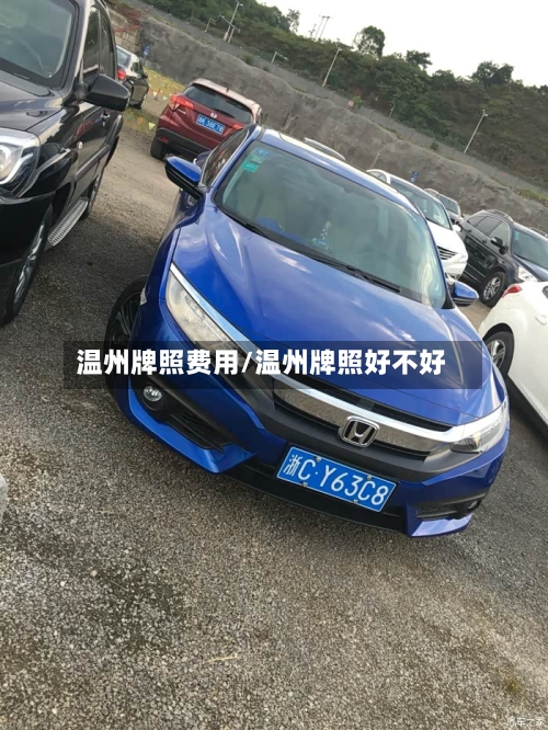 温州牌照费用/温州牌照好不好
