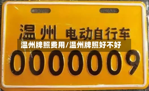 温州牌照费用/温州牌照好不好-第2张图片