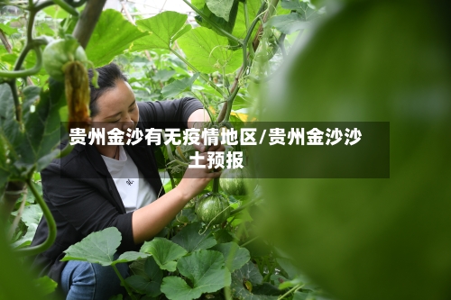 贵州金沙有无疫情地区/贵州金沙沙土预报-第2张图片