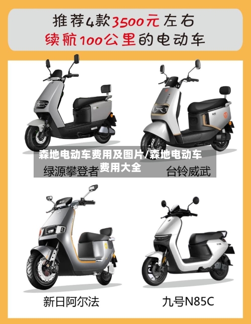 森地电动车费用及图片/森地电动车费用大全-第3张图片