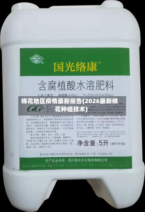棉花地区疫情最新报告(2026最新棉花种植技术)-第2张图片