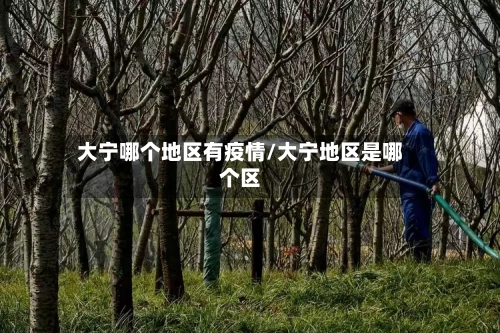 大宁哪个地区有疫情/大宁地区是哪个区