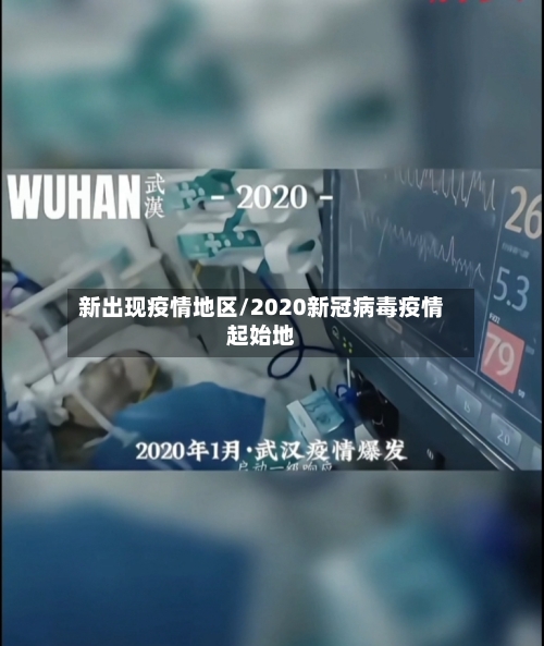 新出现疫情地区/2020新冠病毒疫情起始地