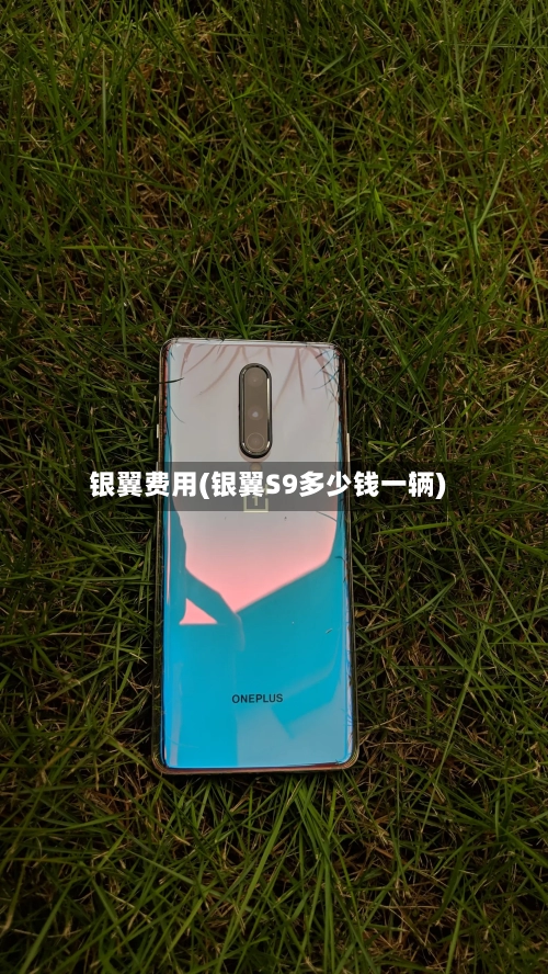 银翼费用(银翼S9多少钱一辆)-第3张图片