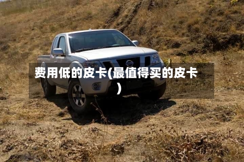 费用低的皮卡(最值得买的皮卡)-第2张图片
