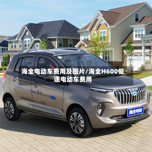 海全电动车费用及图片/海全H600低速电动车费用